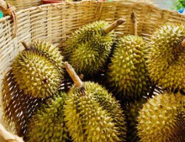Bảo Vệ Chuyên Nghiệp 3